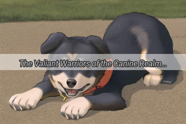 The Valiant Warriors of the Canine Realm Discover the Knights of the Dog World